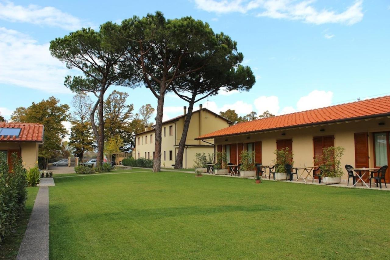 Rosy Torre del Lago Puccini